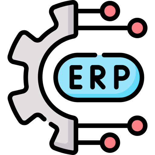 ERP & Databases